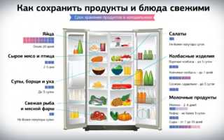Где производится до охлаждения и хранения студня