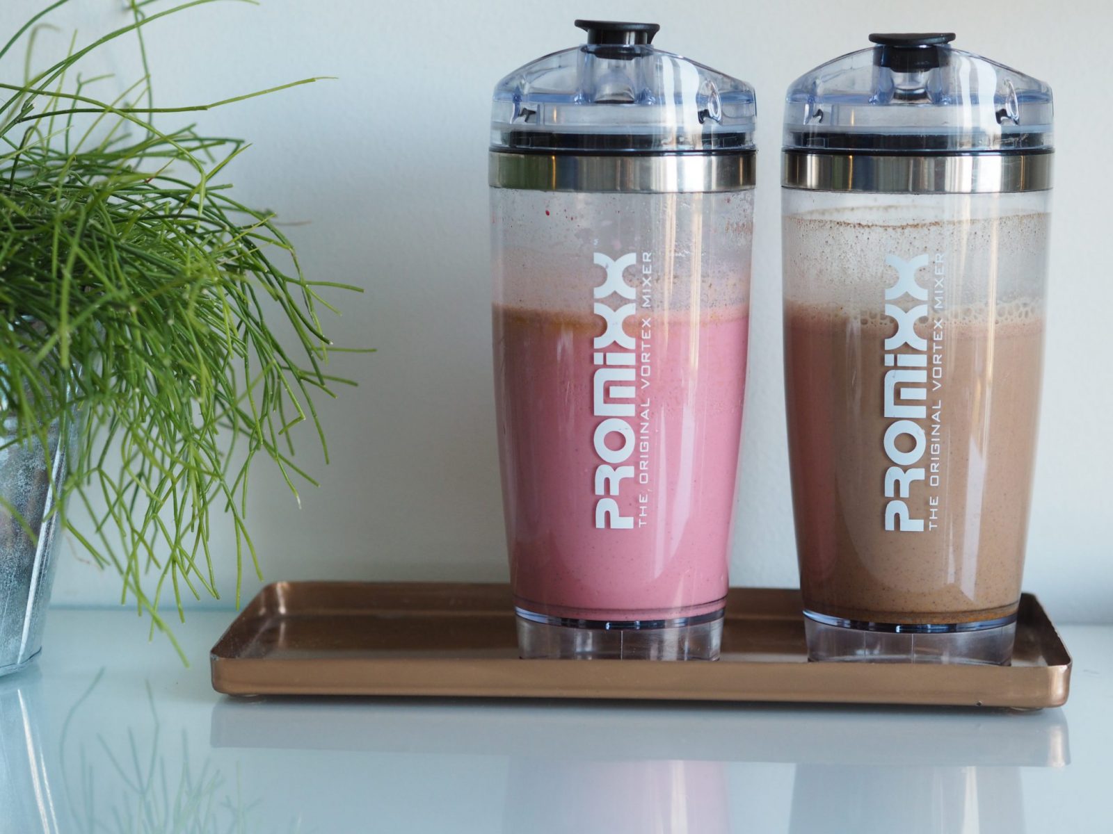 Шейкер PROMIXX