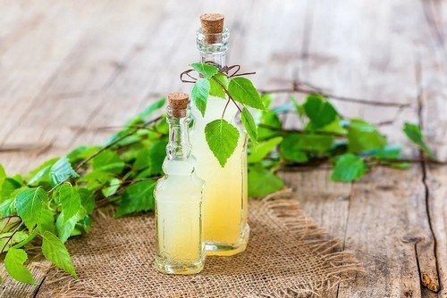 Квас из березового сока