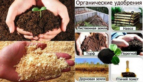 Органические удобрения