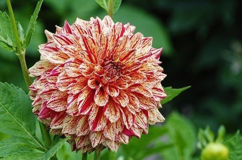 Место для посадки