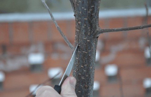 бороздование