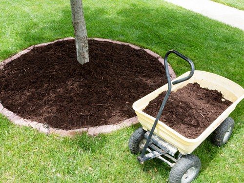 мульчирование