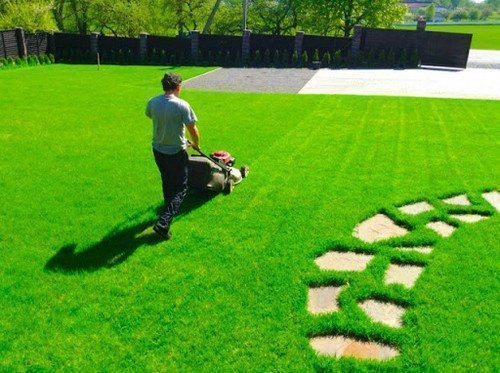 стрижка газона