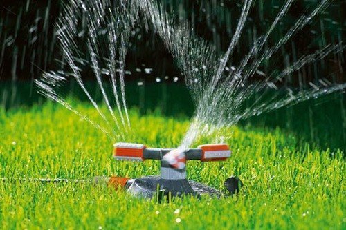 Полив газона