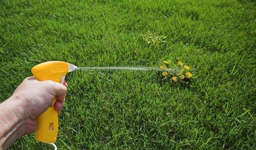 Народные средства против сорняков