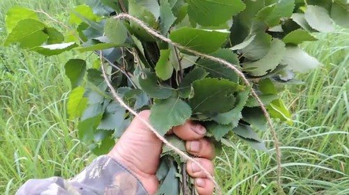 вязка веника