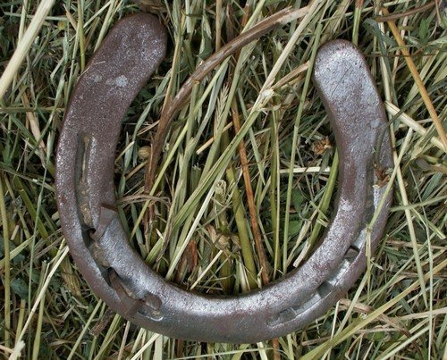 podkova_nad_dver_yu_v_dome_kak_pravil_no_veshat_dlya_schast_ya_i_blagopoluchiya-2